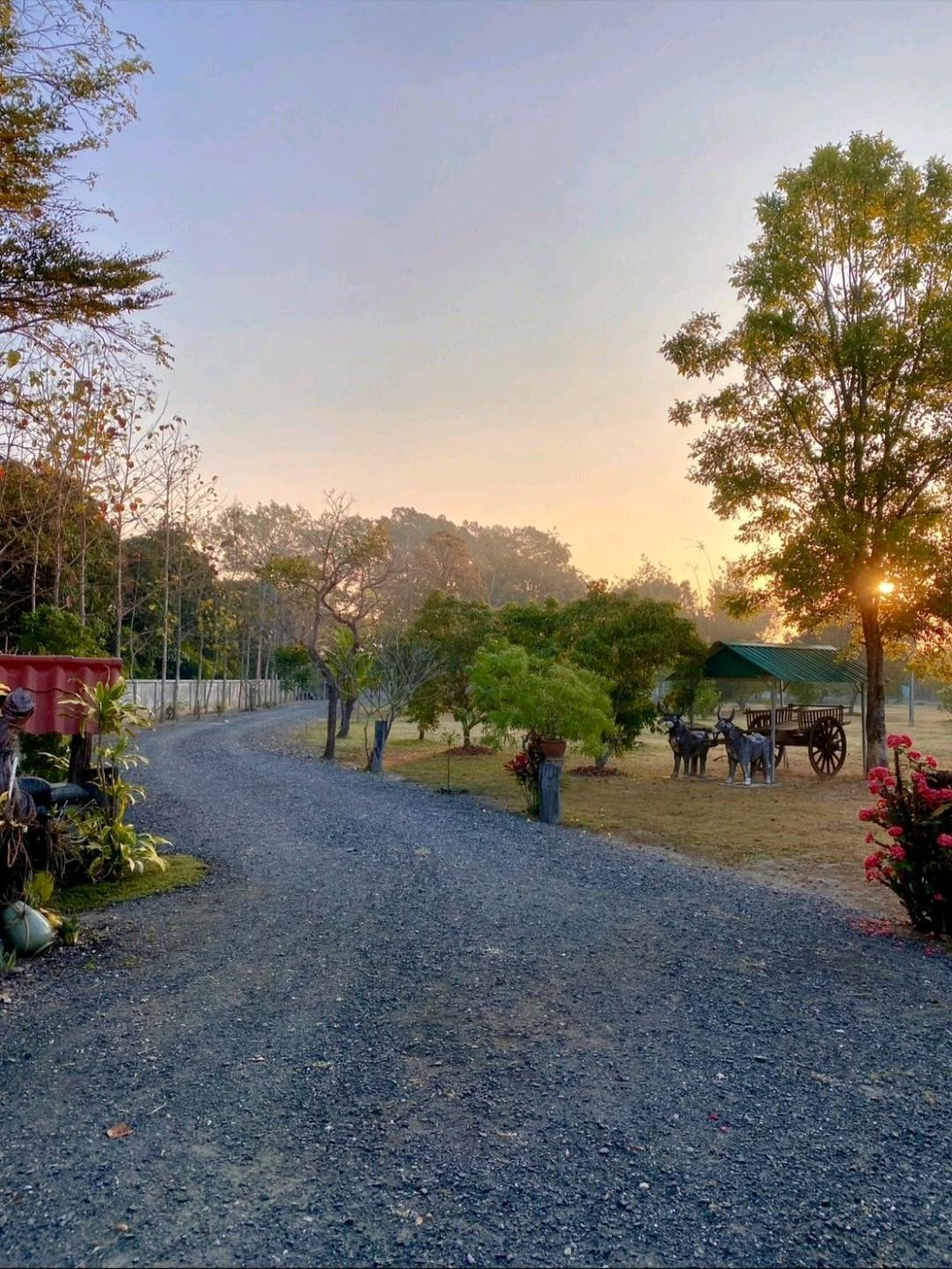 ขายที่ดินดอยสะเก็ด พร้อมบ้านสวน เชียงใหม่ – รูปที่ 3