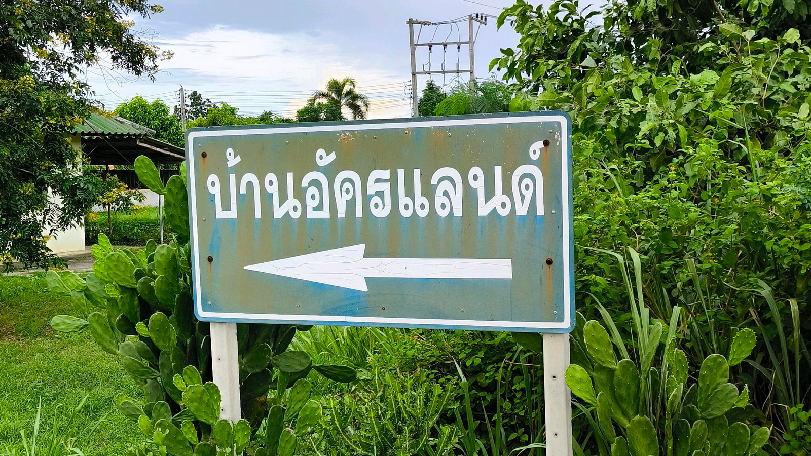 ขาย บ้านเดี่ยว 80 ต.ว. – รูปที่ 3