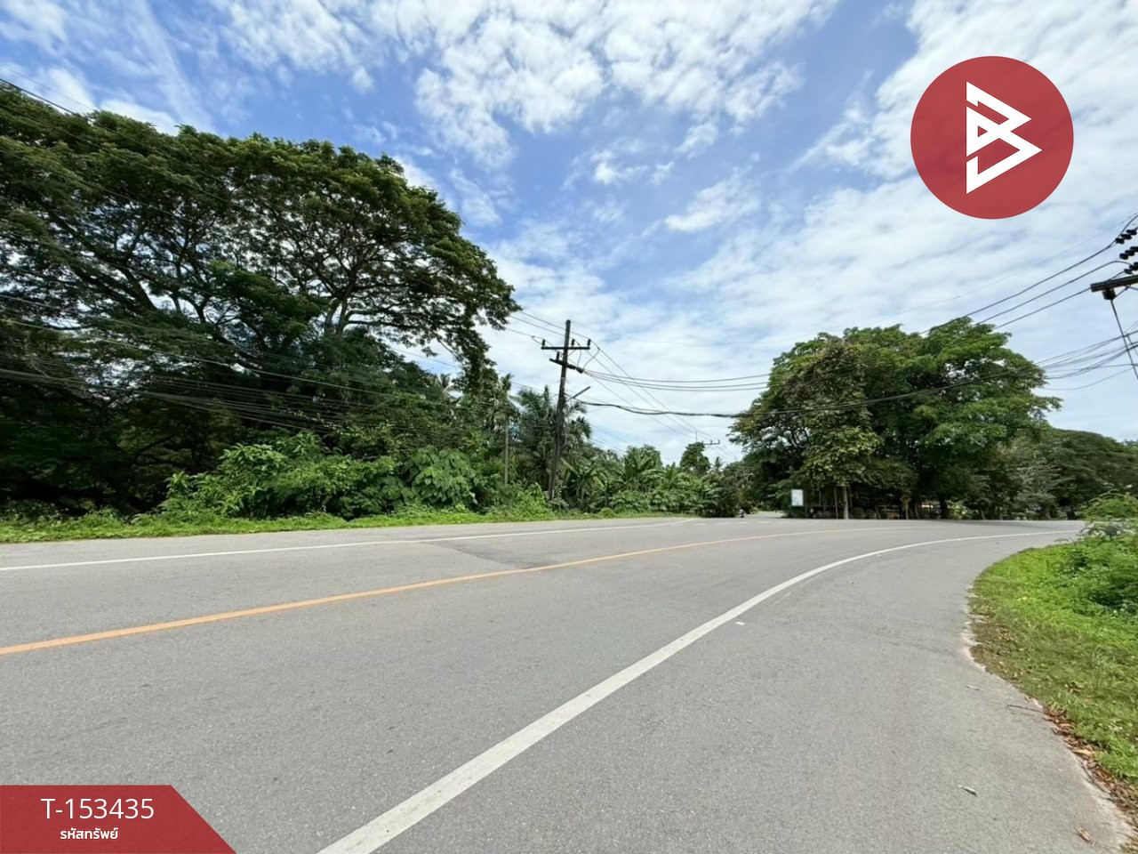 Land for sale, area 2 ngan 74 sq m, Tha Chana, Surat Thani. – รูปที่ 4