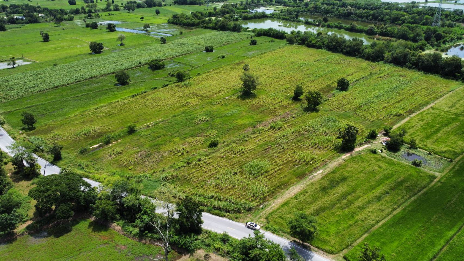🏭 ขายที่ดินผังม่วง อ.สูงเนิน จ.นครราชสีมา ทำเลอุตสาหกรรม ราคาจับต้องได้ !