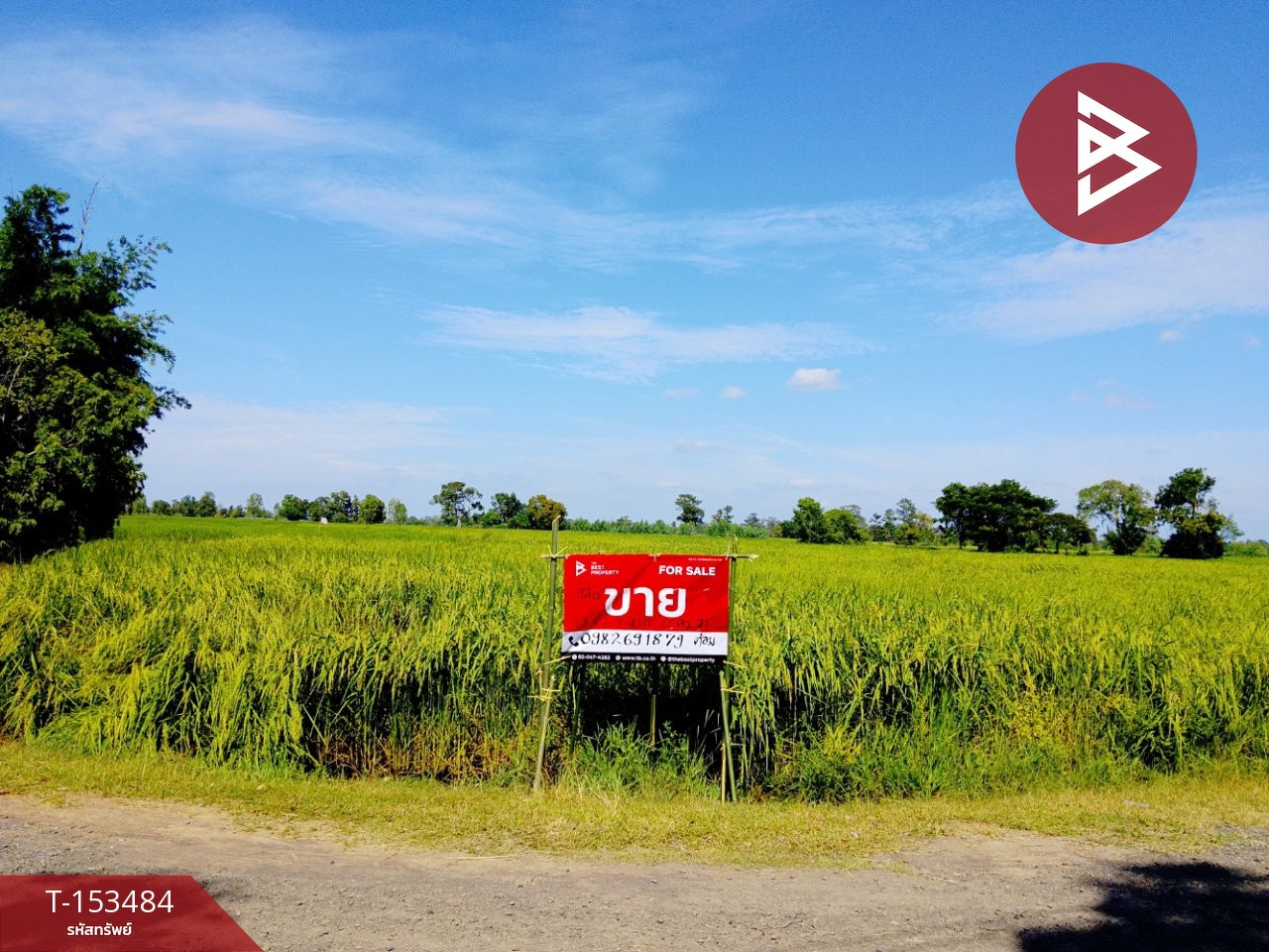 Land for sale, area 13 rai 1 ngan 22 sq m, Sikhoraphum, Surin.