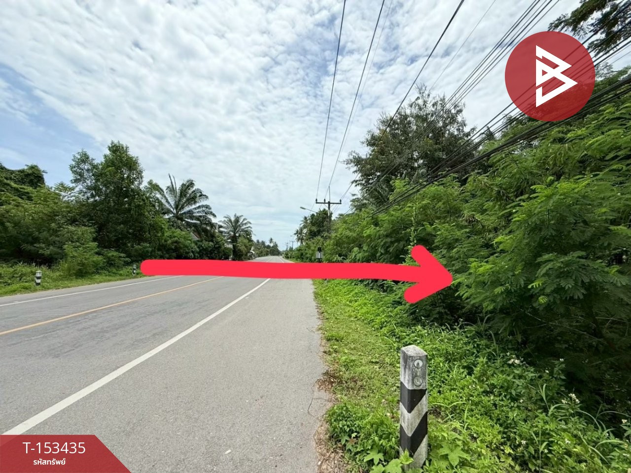 Land for sale, area 2 ngan 74 sq m, Tha Chana, Surat Thani. – รูปที่ 3