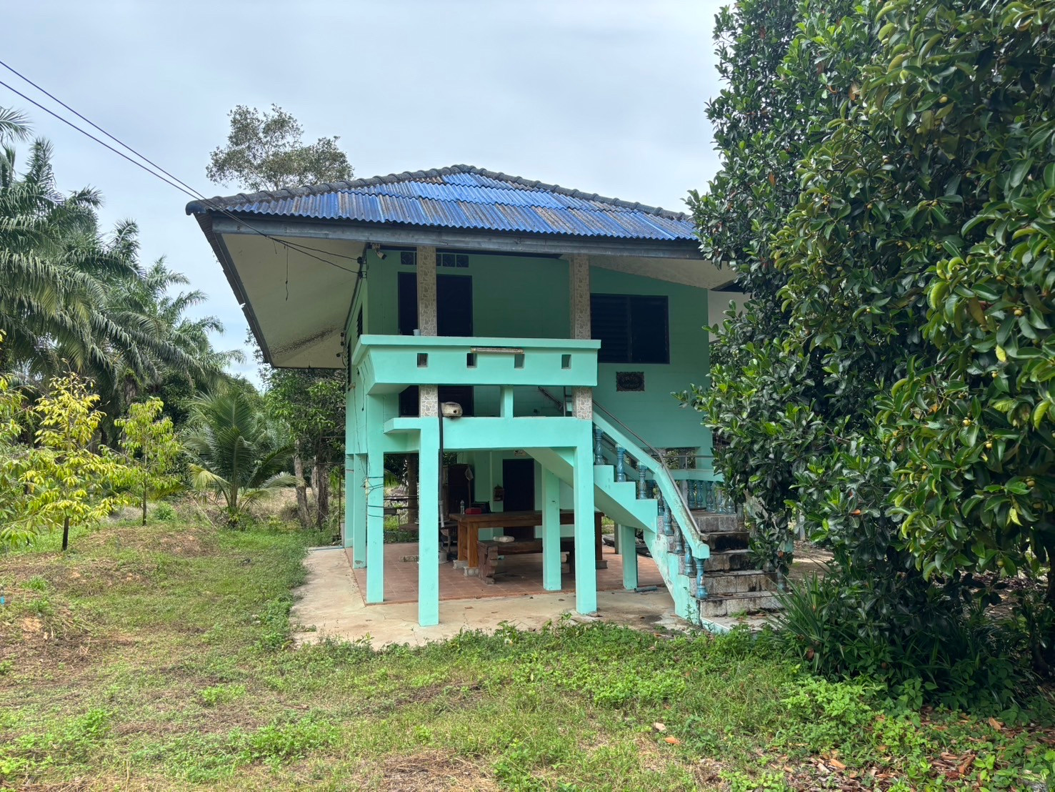 Mangosteen Orchard with House for Sale in Bang Nam Chuet, Lang Suan, Chumphon, Thailand