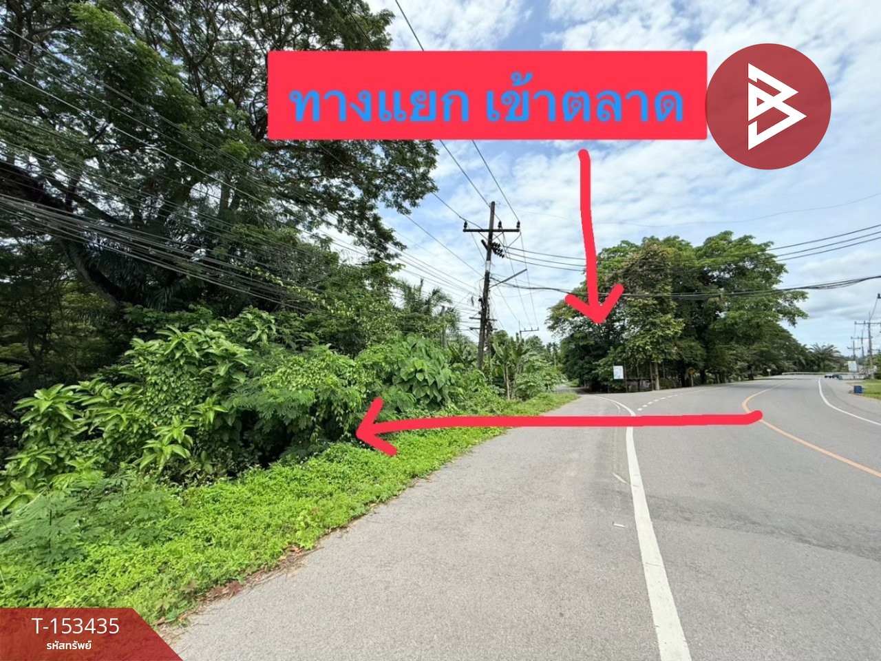 Land for sale, area 2 ngan 74 sq m, Tha Chana, Surat Thani. – รูปที่ 2