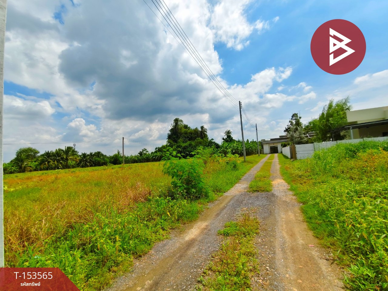 ขายที่ดินเปล่า เนื้อที่ 172.5 ตร.วา ท่าม่วง กาญจนบุรี – รูปที่ 2