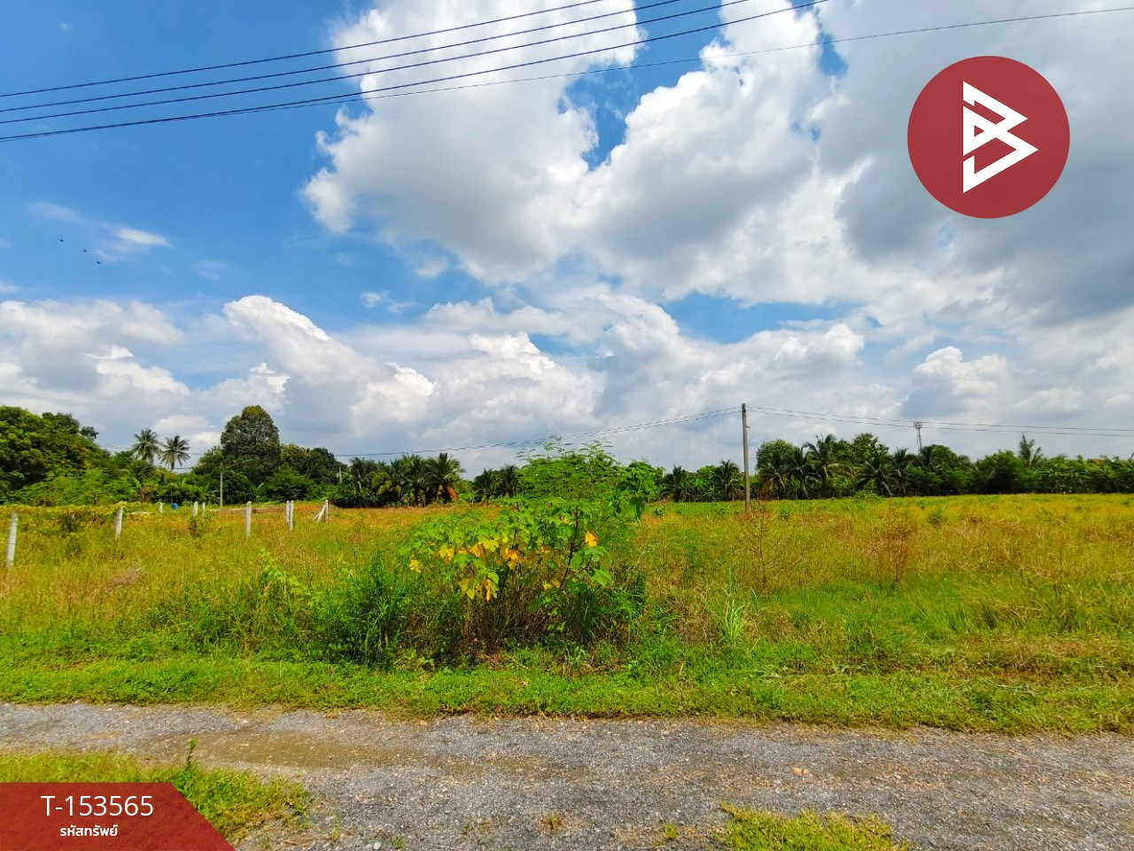 ขายที่ดินเปล่า เนื้อที่ 172.5 ตร.วา ท่าม่วง กาญจนบุรี – รูปที่ 4