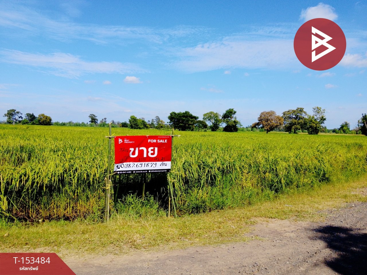 Land for sale, area 13 rai 1 ngan 22 sq m, Sikhoraphum, Surin. – รูปที่ 2