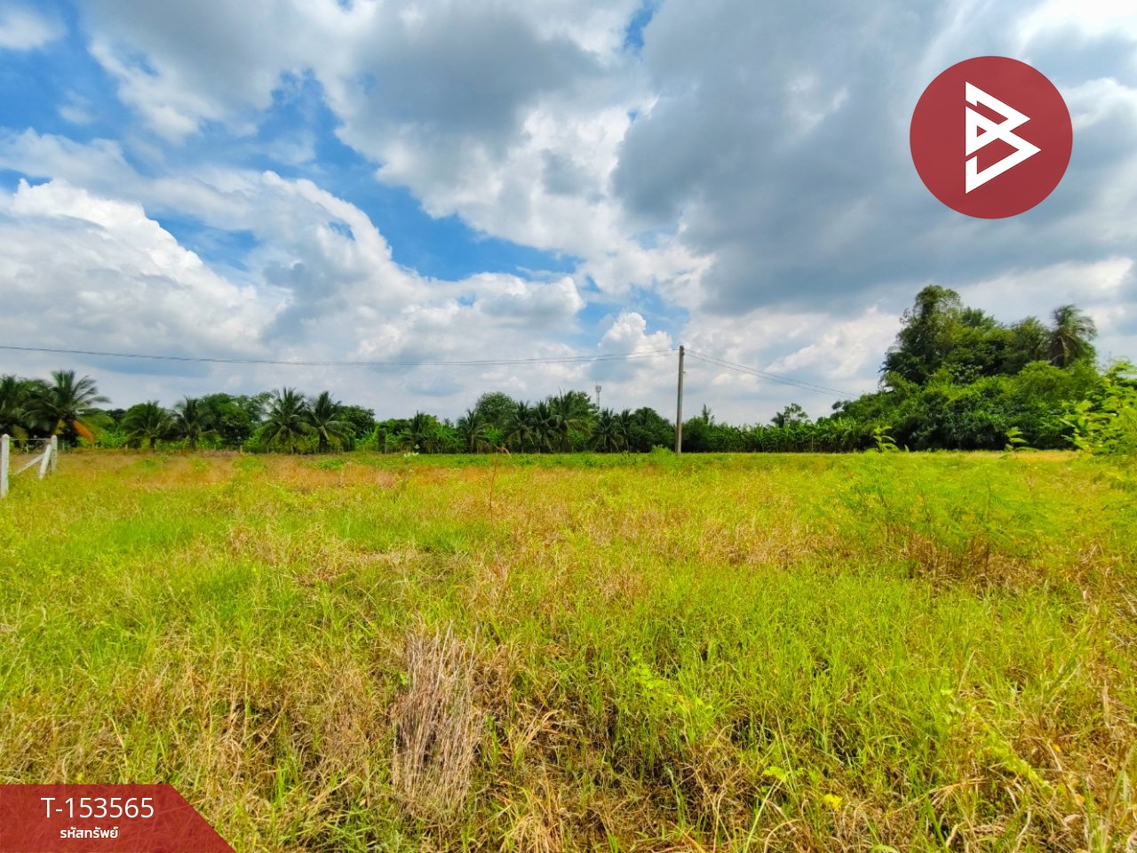 ขายที่ดินเปล่า เนื้อที่ 172.5 ตร.วา ท่าม่วง กาญจนบุรี – รูปที่ 3