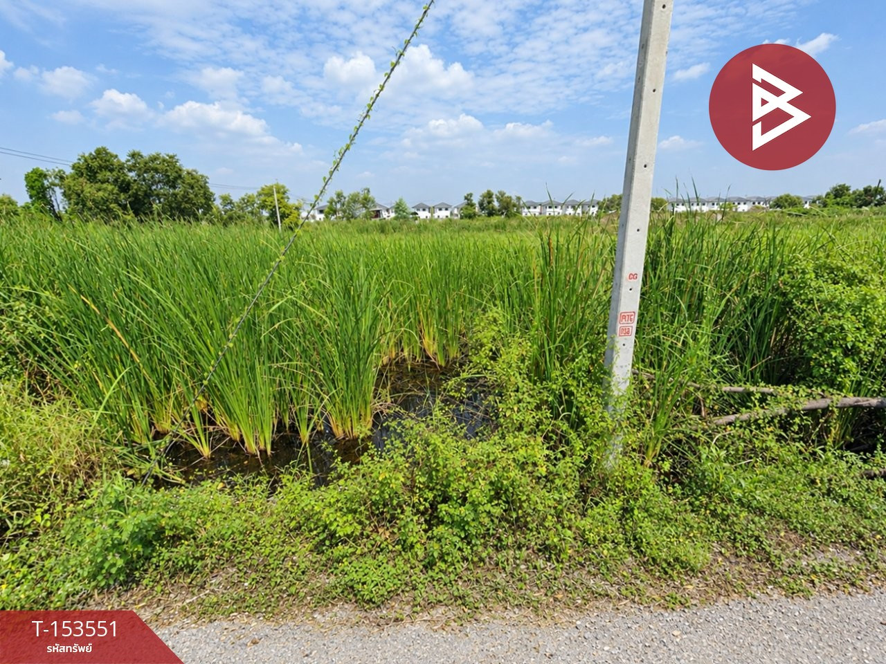 Land for sale, area 2 ngan 58 sq m, Khlong Song, Pathum Thani. – รูปที่ 2