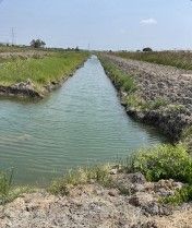 100145 - Land for sale along Waree (Khu Khwa), yellow plot land, 7-3-78 rai.