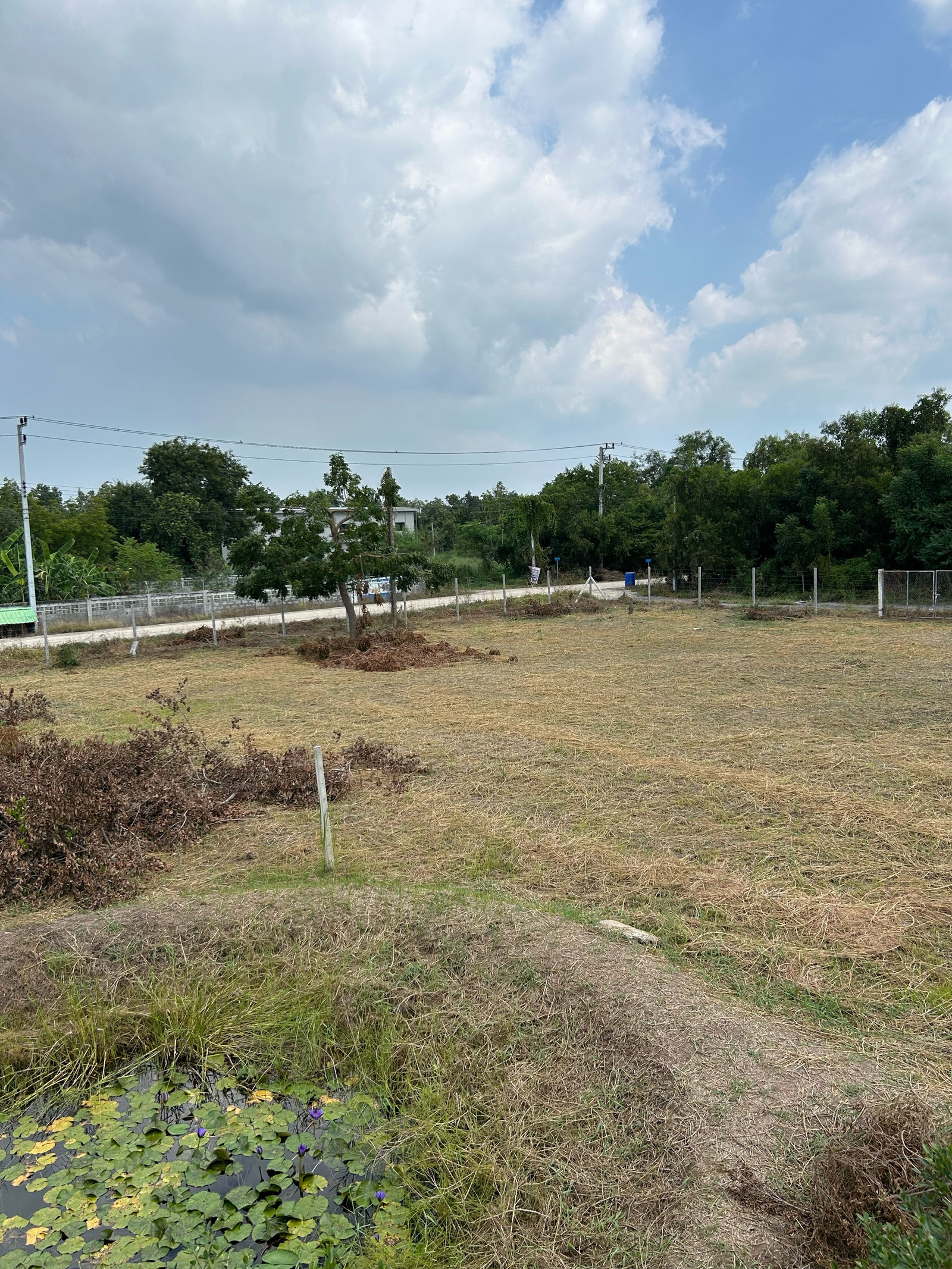 Land for sale ready to build a house next to the road. – รูปที่ 2