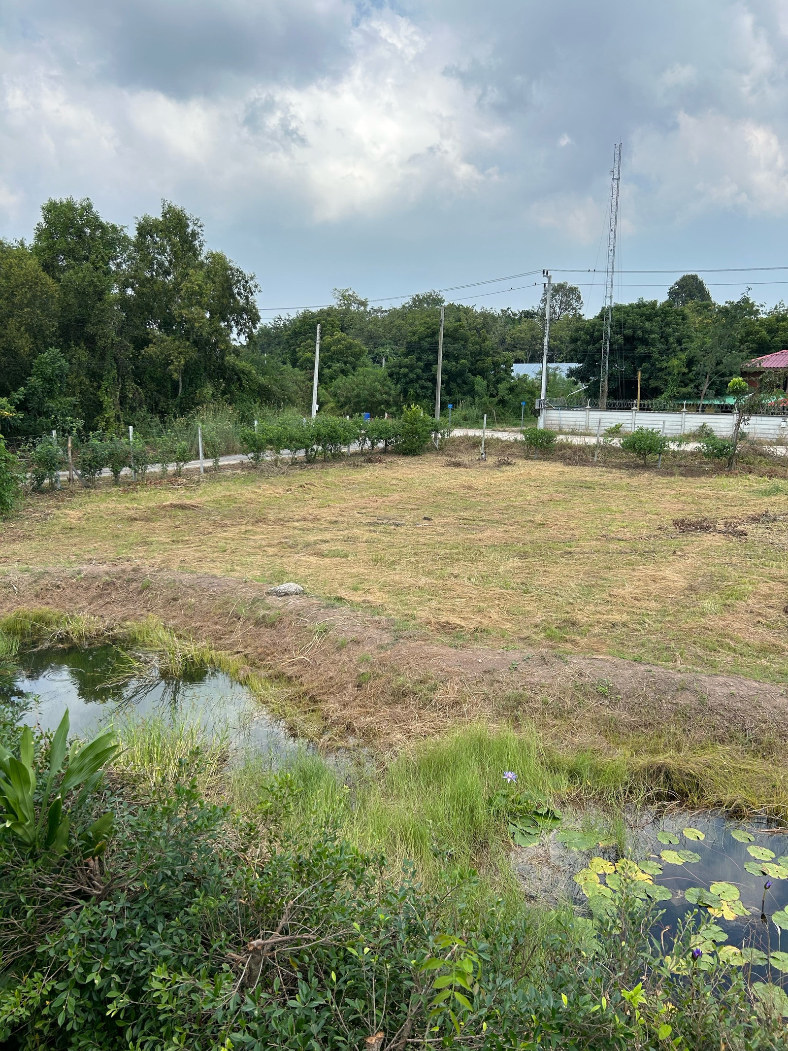 Land for sale ready to build a house next to the road.