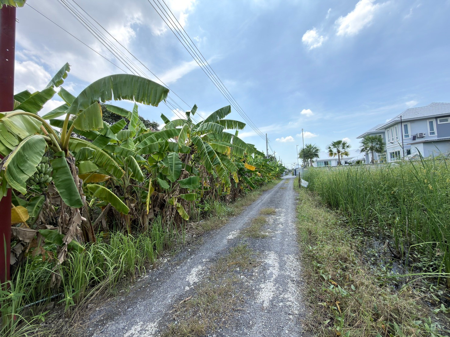 Beautiful plot of land for sale, 300 sq m, Soi Kamnan Lek 2 (Phetkasem 69, Nong Khaem), wide frontage, good atmosphere, suitable for building a house. Convenient location to travel – รูปที่ 4