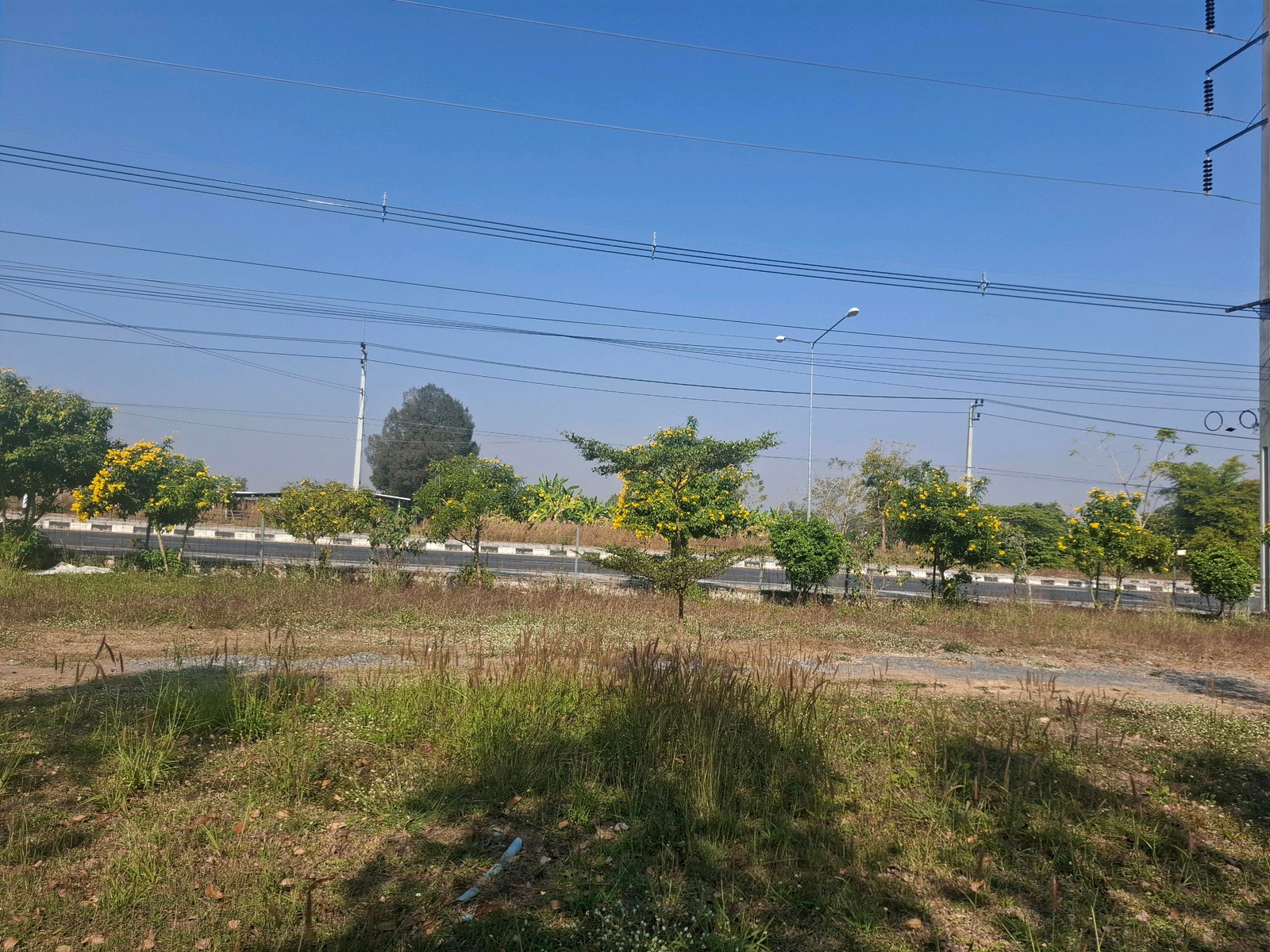 ขายที่ดิน 16 ไร่ ติดถนน 4 เลน หน้ากว้าง 240 เมตร พร้อมสวนน้ำ 15.9 ล้าน – รูปที่ 2