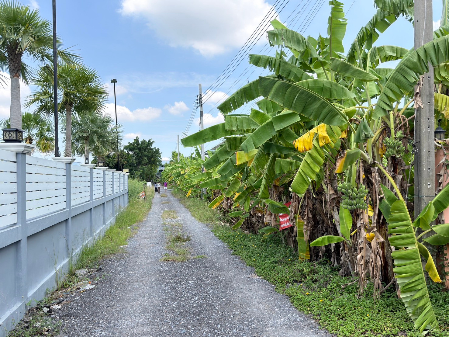 Beautiful plot of land for sale, 300 sq m, Soi Kamnan Lek 2 (Phetkasem 69, Nong Khaem), wide frontage, good atmosphere, suitable for building a house. Convenient location to travel – รูปที่ 3