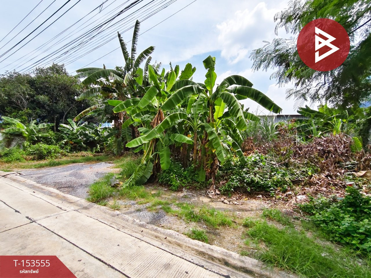 ขายที่ดิน เนื้อที่ 96 ตร.วา ประชาอุทิศ 54 ทุ่งครุ กรุงเทพฯ – รูปที่ 3