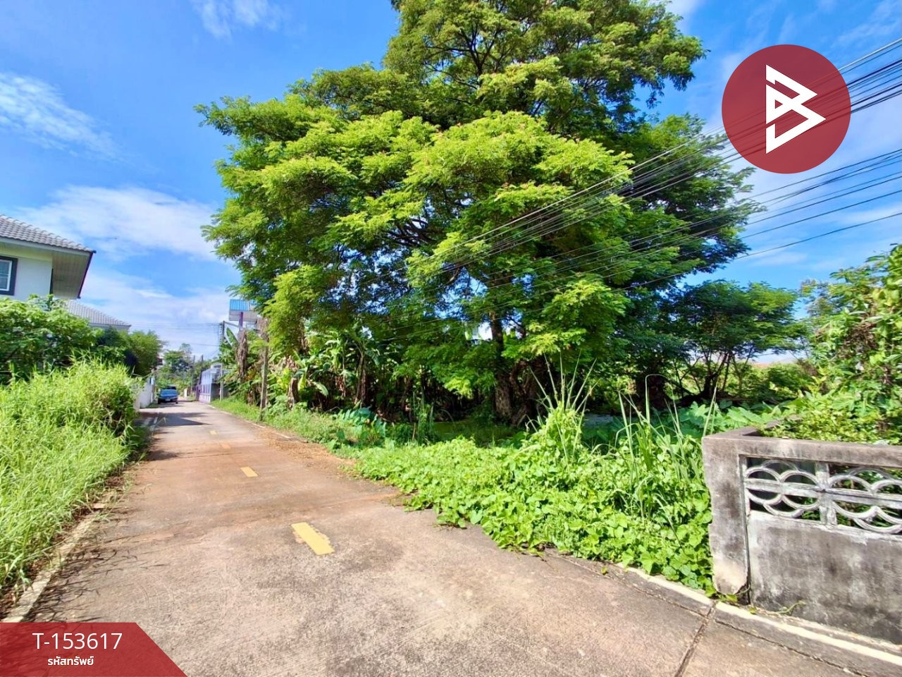 ขายด่วนที่ดิน เนื้อที่ 174 ตร.วา ท่าอิฐ เมืองอุตรดิตถ์ ทำเลดี – รูปที่ 2