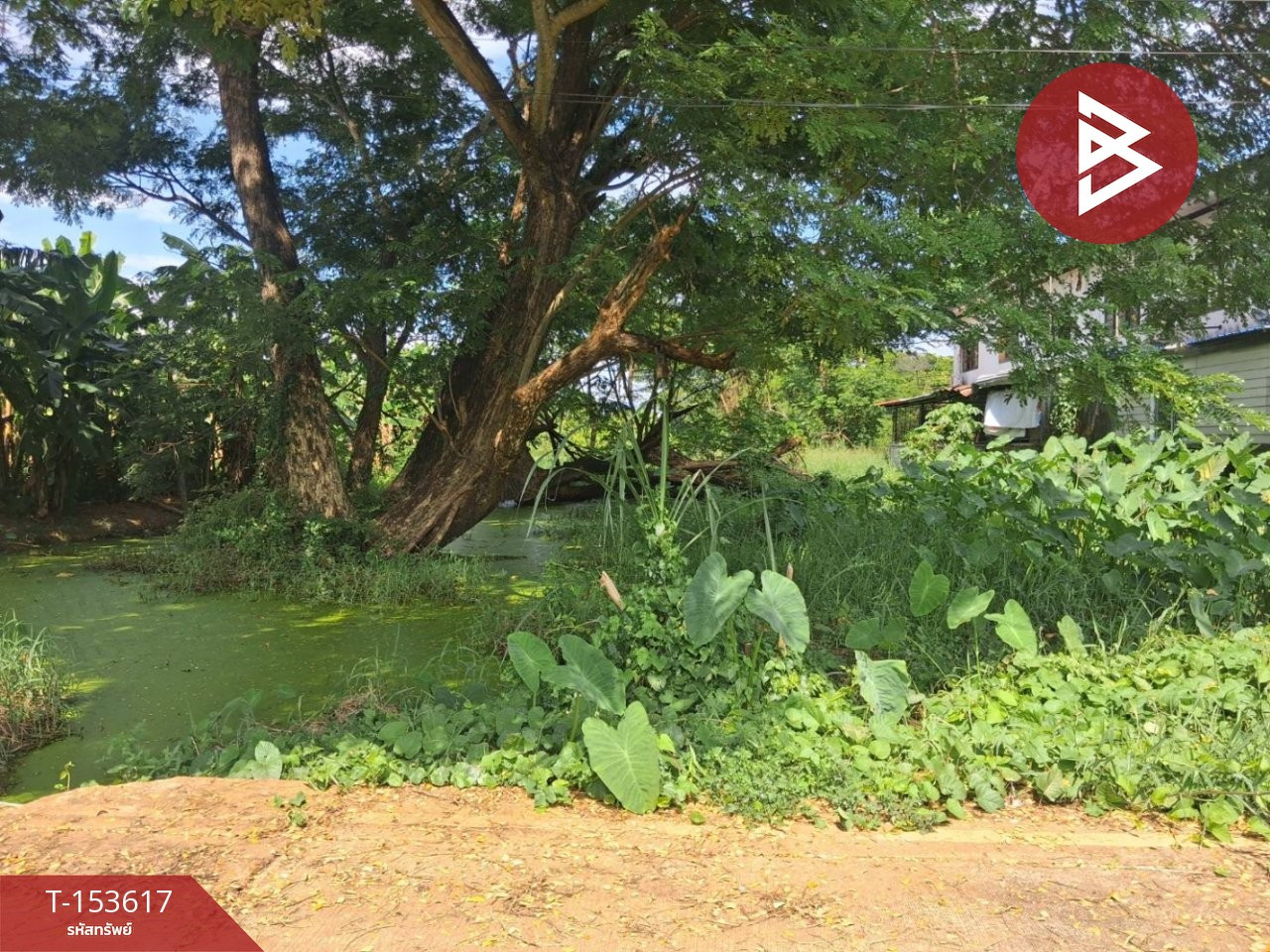 ขายด่วนที่ดิน เนื้อที่ 174 ตร.วา ท่าอิฐ เมืองอุตรดิตถ์ ทำเลดี – รูปที่ 4