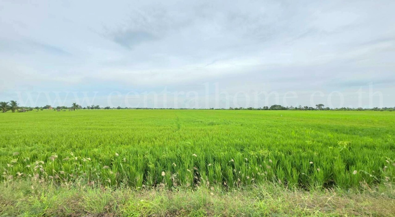 ที่ดินเปล่า 6-1-89 ไร่ คลองนิยมยาตรา บางบ่อ สมุทรปราการ – รูปที่ 3