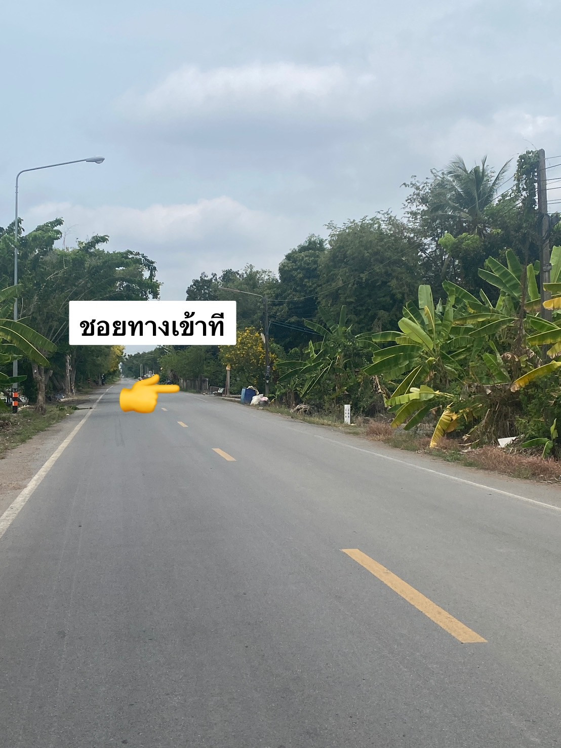  ขายที่ดิน 3 ไร่ 1งาน 48 ตรว คลอง 12 หนองเสือ เหมาะปลูกบ้านสวน ทำเกษตร บรรยากาศดี มีเพื่อนบ้าน – รูปที่ 4