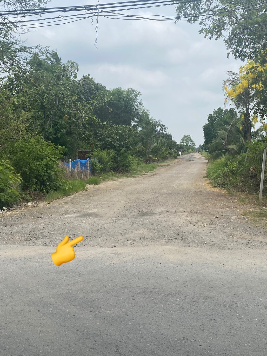  ขายที่ดิน 3 ไร่ 1งาน 48 ตรว คลอง 12 หนองเสือ เหมาะปลูกบ้านสวน ทำเกษตร บรรยากาศดี มีเพื่อนบ้าน – รูปที่ 3