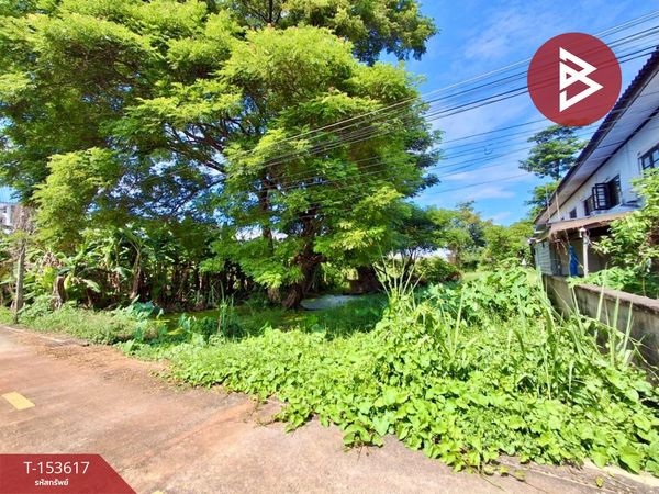 ขายด่วนที่ดิน เนื้อที่ 174 ตร.วา ท่าอิฐ เมืองอุตรดิตถ์ ทำเลดี