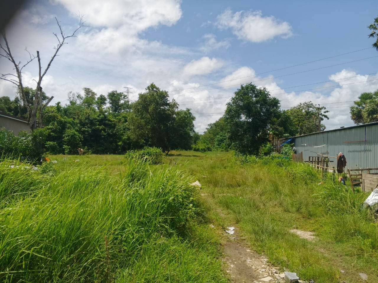 🌿 Urgent! Selling a beautiful plot of land, potential location, great atmosphere 🌿✨ – รูปที่ 2