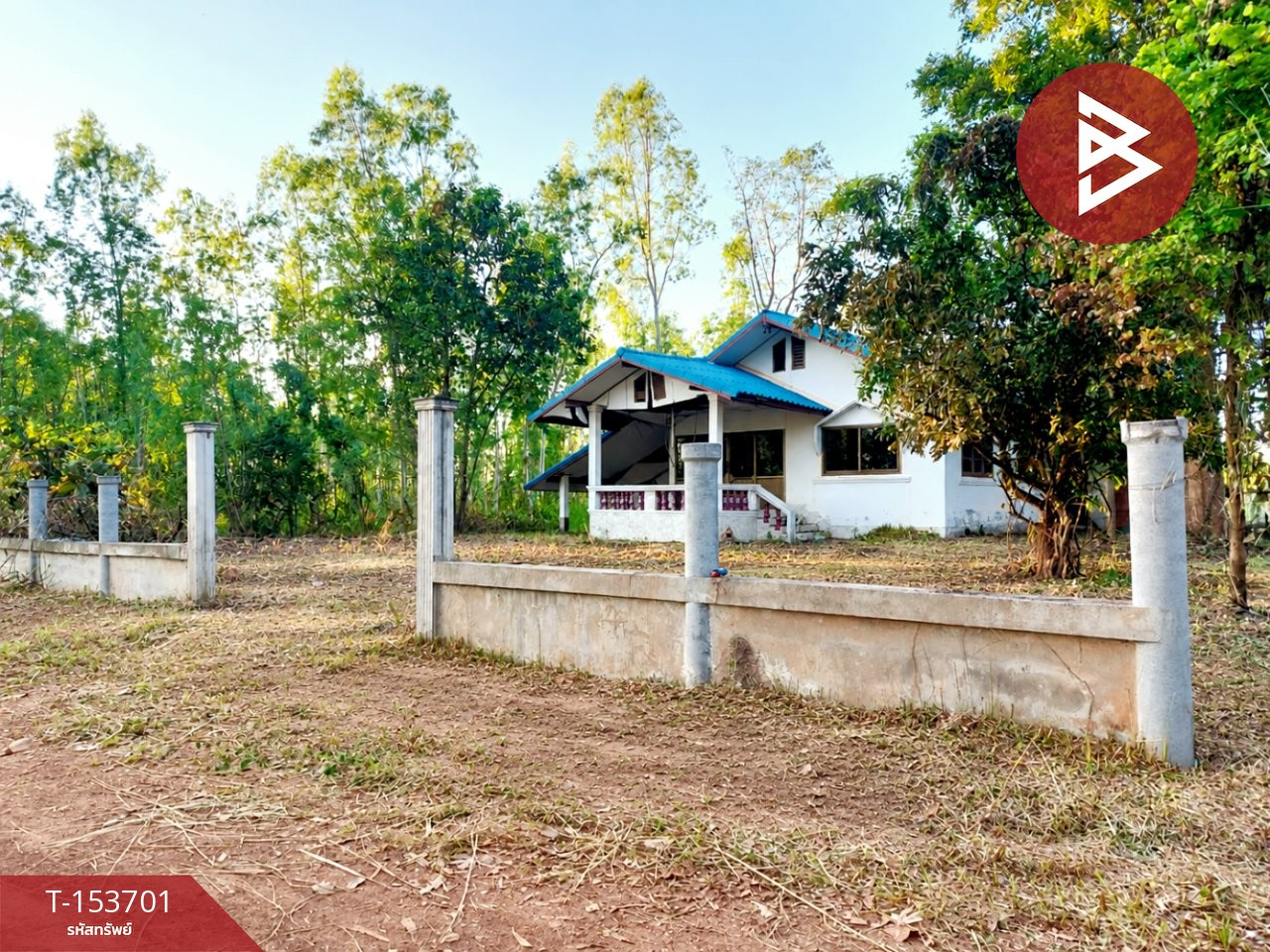 ขายที่ดิน เนื้อที่ 1 ไร่ 1 ตร.วา โพนพิสัย หนองคาย – รูปที่ 4