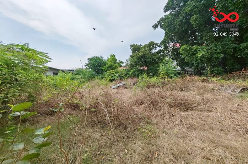 ขายที่ดิน 320 ตรว. ถมแล้ว สุขุมวิท 101 (ซอยปุณณวิถี 40) ถนนสุขุมวิท ใกล้รถไฟฟ้า BTS-ทางด่วน – รูปที่ 3