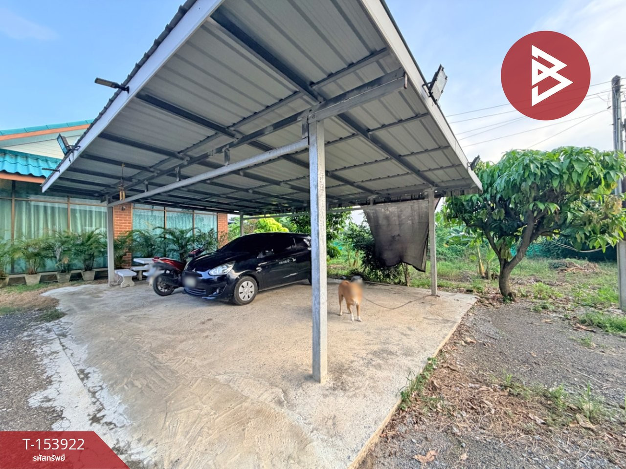 ขายบ้านเดี่ยวพร้อมที่ดิน เนื้อที่ 2 งาน กำแพงแสน นครปฐม  – รูปที่ 3