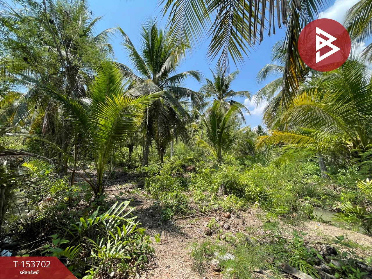 Land for sale, area 1 ngan 2.7 sq m, Khlong Khen, Samut Songkhram – รูปที่ 4