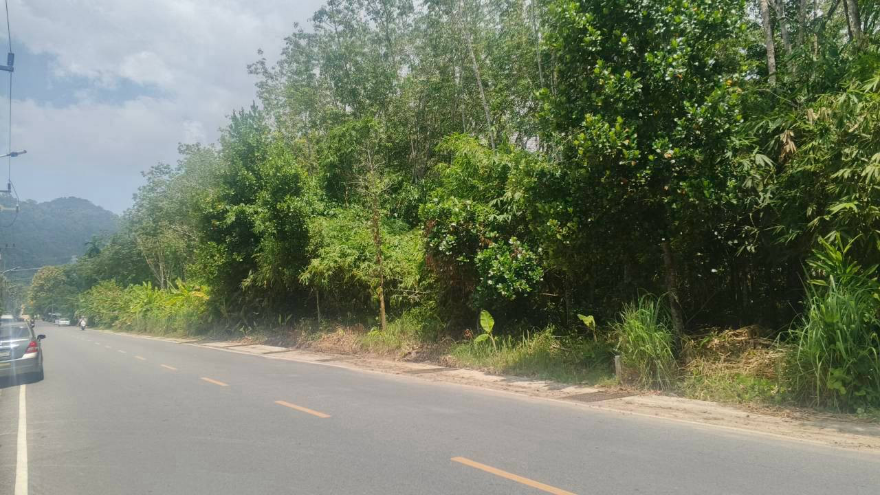 🔥 Urgent! Beautiful land for sale next to the road Prime location in Phuket city 🔥✨ – รูปที่ 3