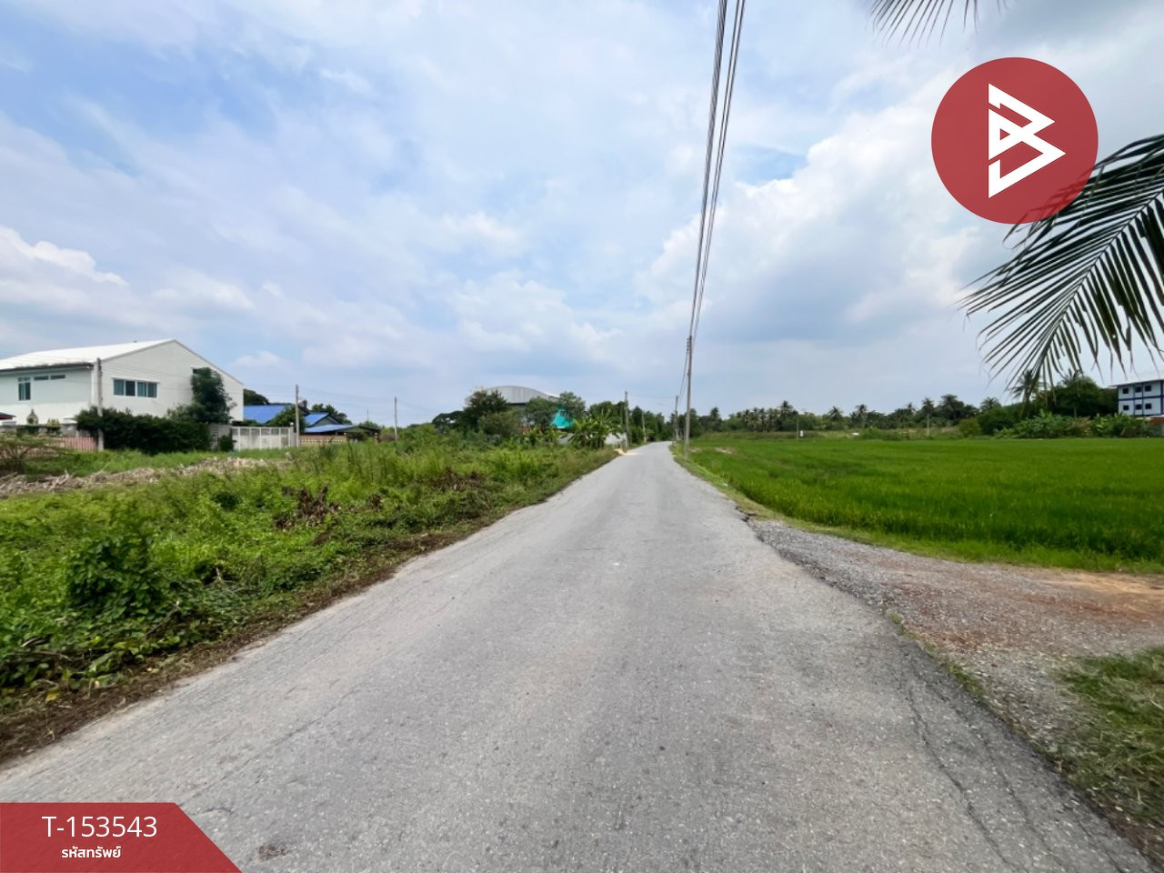 Land for sale, area 1 ngan 12 sq m, Sam Phran, Nakhon Pathom. – รูปที่ 4