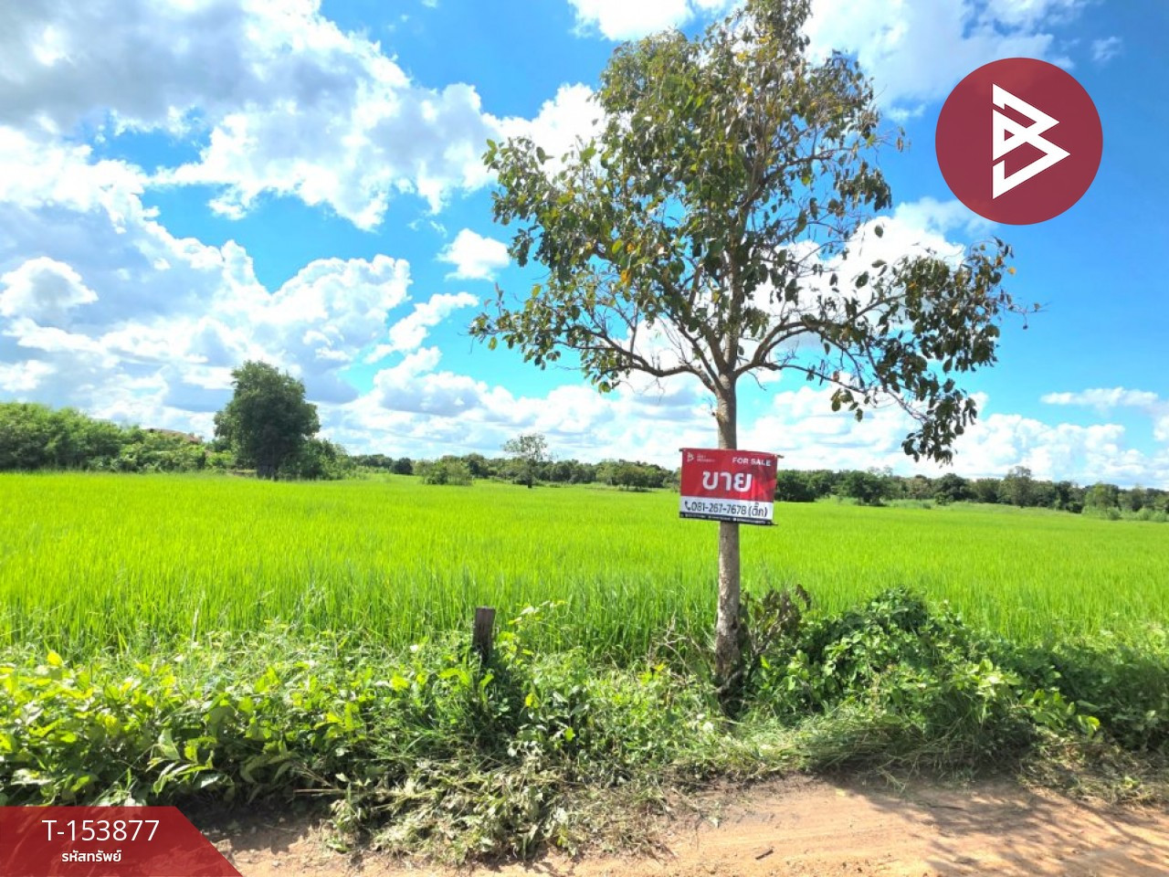 ขายที่ดิน เนื้อที่ 2 ไร่ 7.9 ตร.วา บรบือ มหาสารคาม – รูปที่ 2