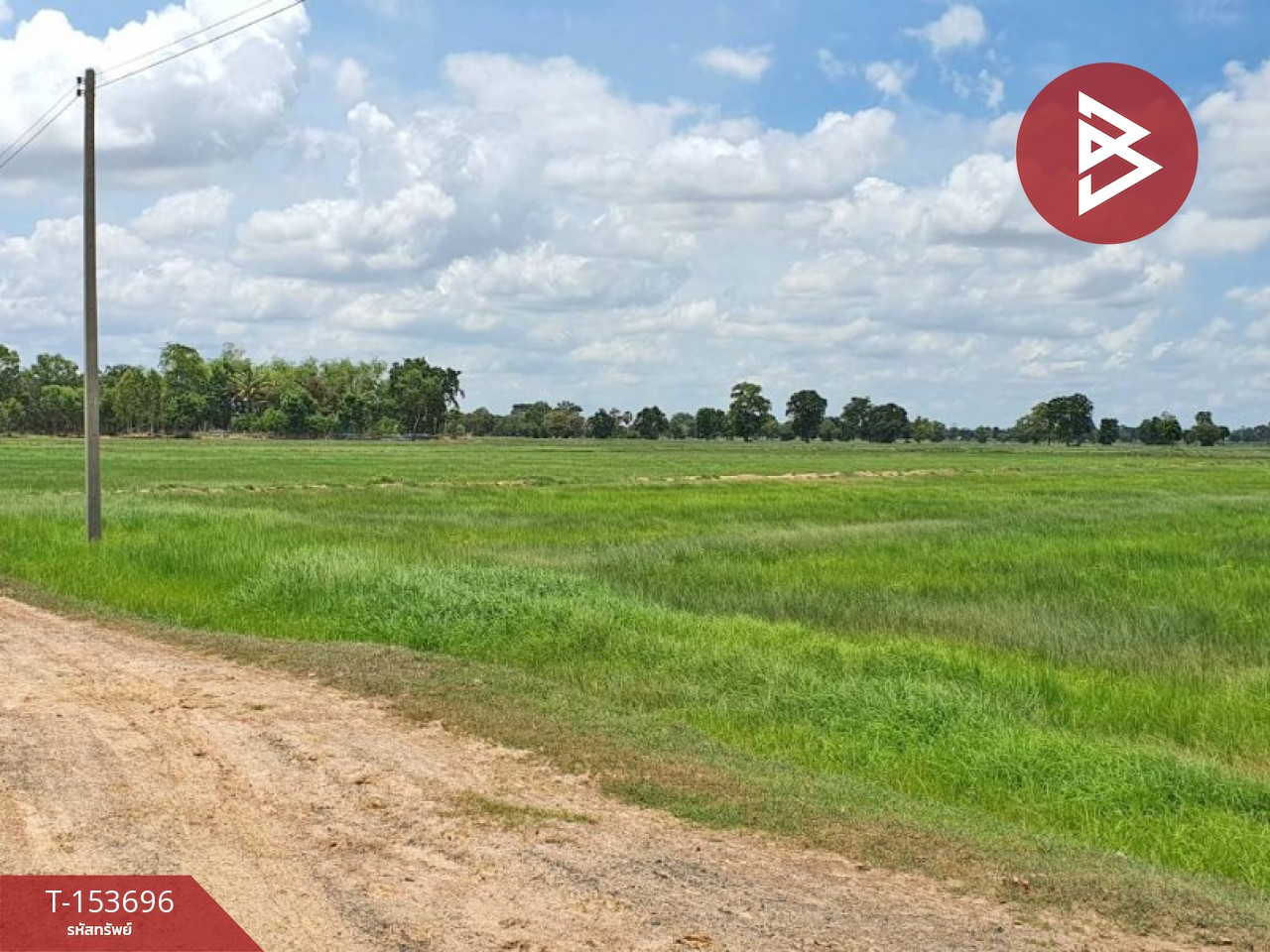 Land for sale, area 10 rai 3 ngan 60 sq m, Huai Rat, Buriram. – รูปที่ 4