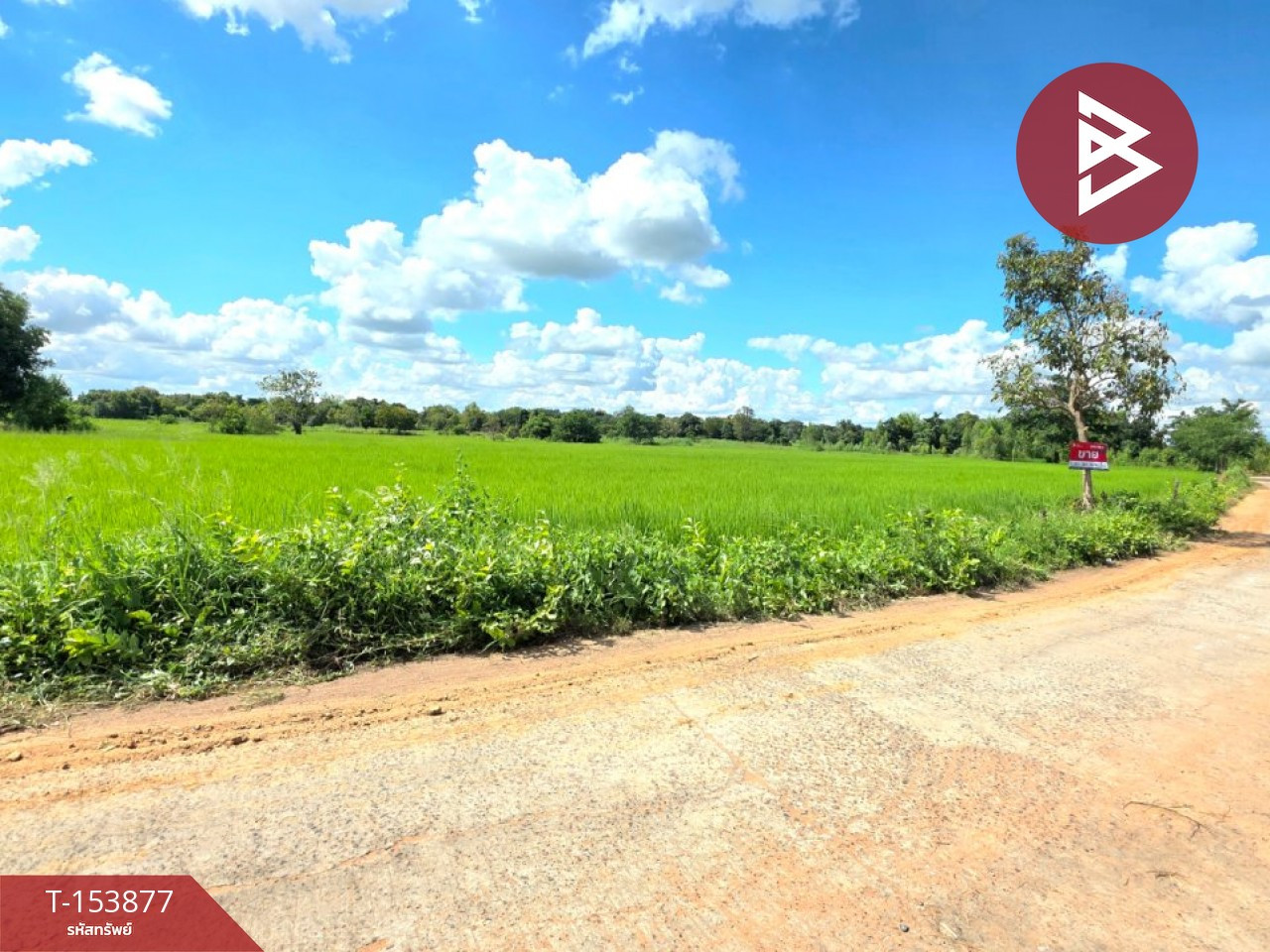 ขายที่ดิน เนื้อที่ 2 ไร่ 7.9 ตร.วา บรบือ มหาสารคาม – รูปที่ 4