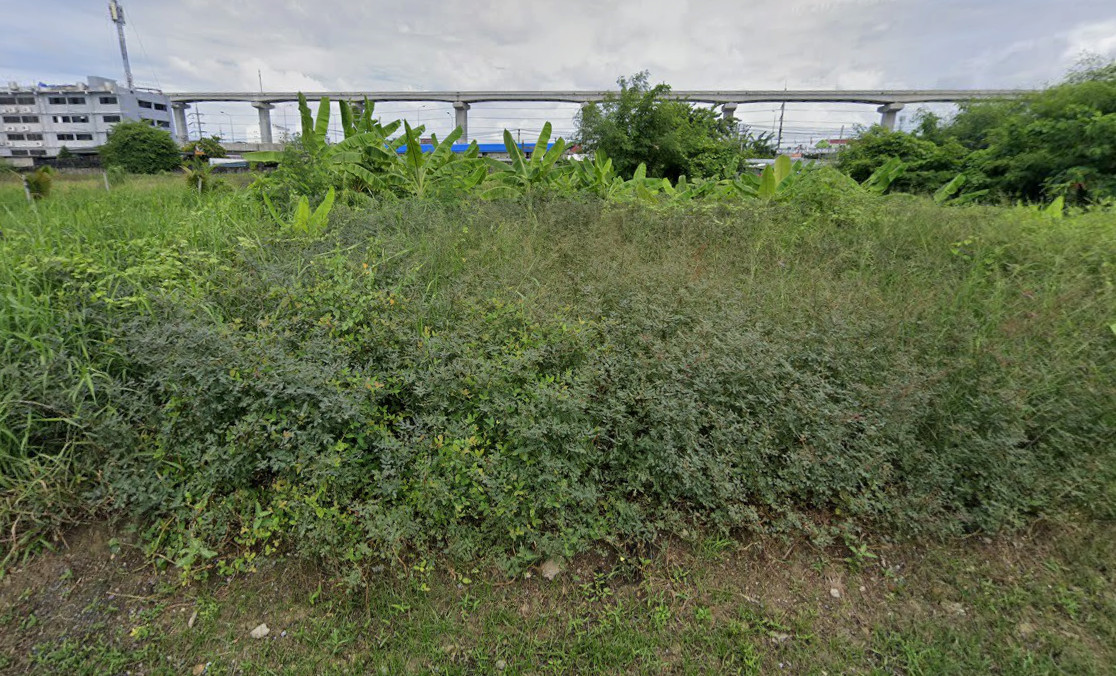 ขาย ที่ดิน 1 งาน 4 ตร.ว. ทำเลศักยภาพ ซอยเงินทองเย็น ถนนศรีนครินทร์  – รูปที่ 3
