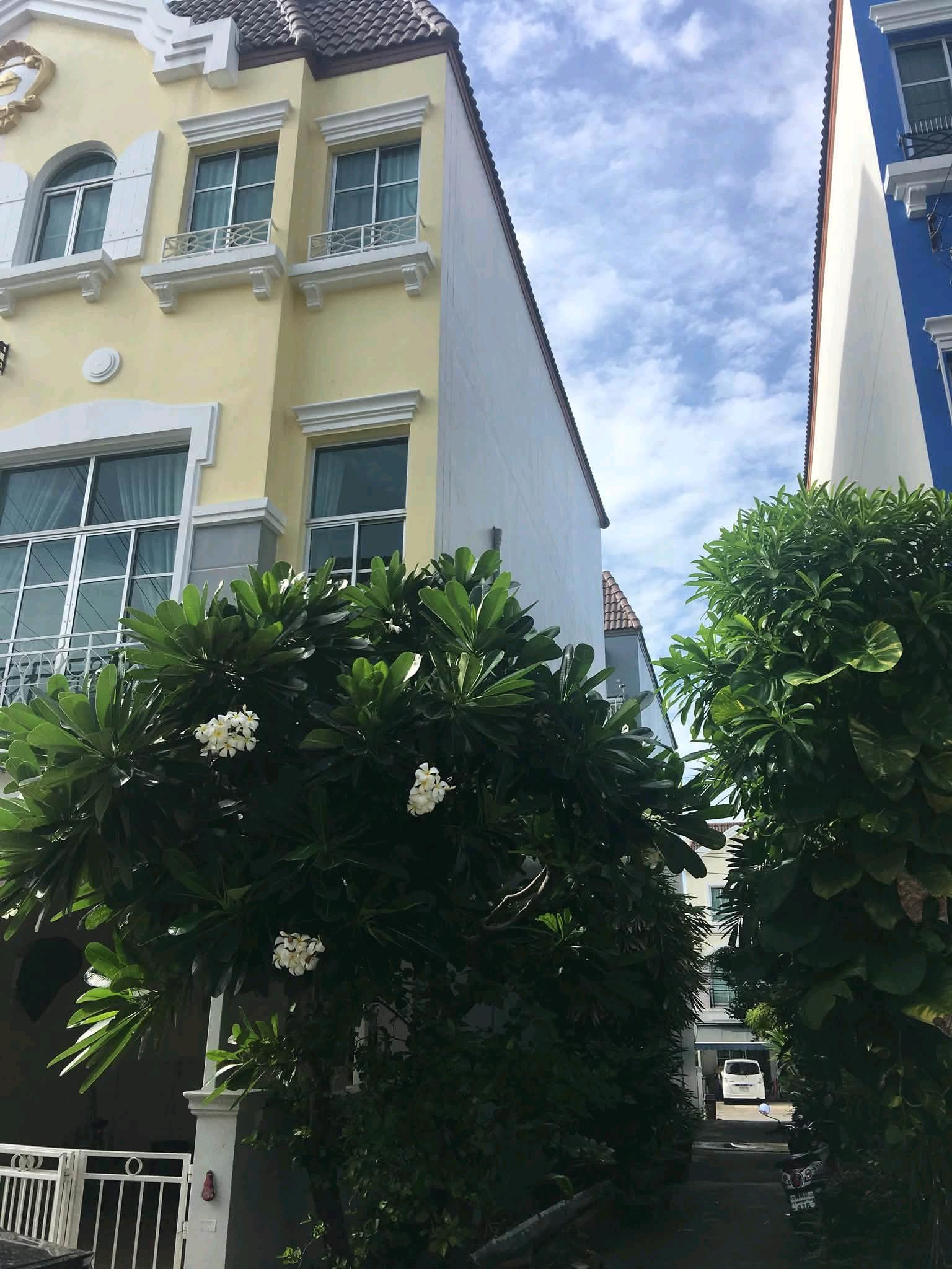 N 3184 – รูปที่ 2