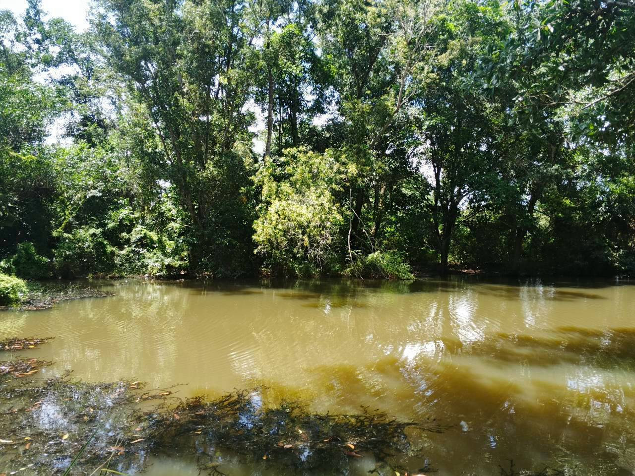 🌿 Urgent! Selling a beautiful plot of land, potential location, great atmosphere 🌿✨ – รูปที่ 4