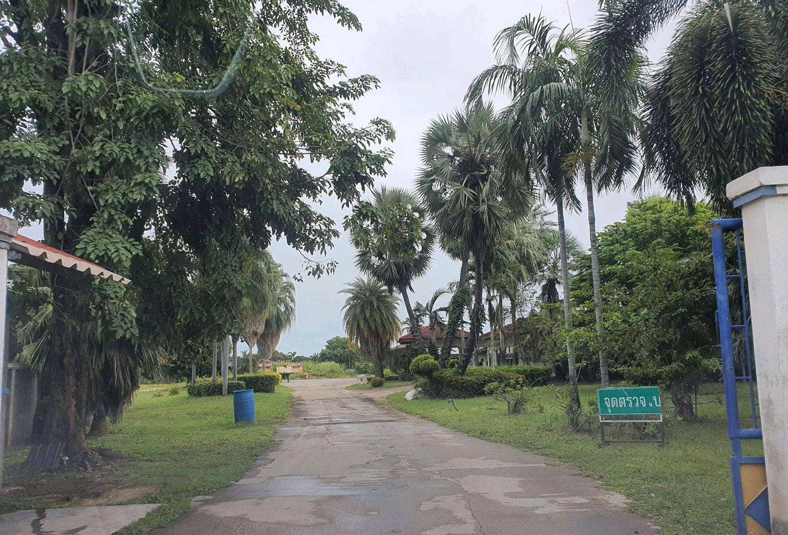 ขายที่ดินติดถนน 3 ด้าน ขนาด 6 ไร่ 2 งาน พร้อมสำนักงานและอู่ซ่อมรถ ใกล้ SCGP วังศาลา  – รูปที่ 4
