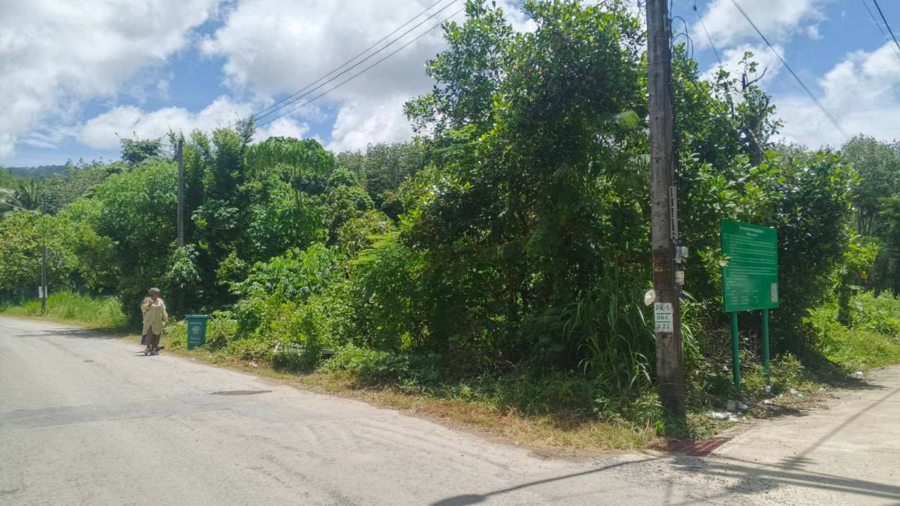 🌿 Urgent! Beautiful plot of land for sale, great location, next to the road, convenient travel, Si Sunthon Zone, Phuket 🌿✨ – รูปที่ 2