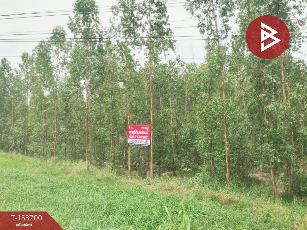 ขายที่ดิน เนื้อที่ 9 ไร่ 1 ตร.วา ลาดยาว นครสวรรค์ – รูปที่ 3