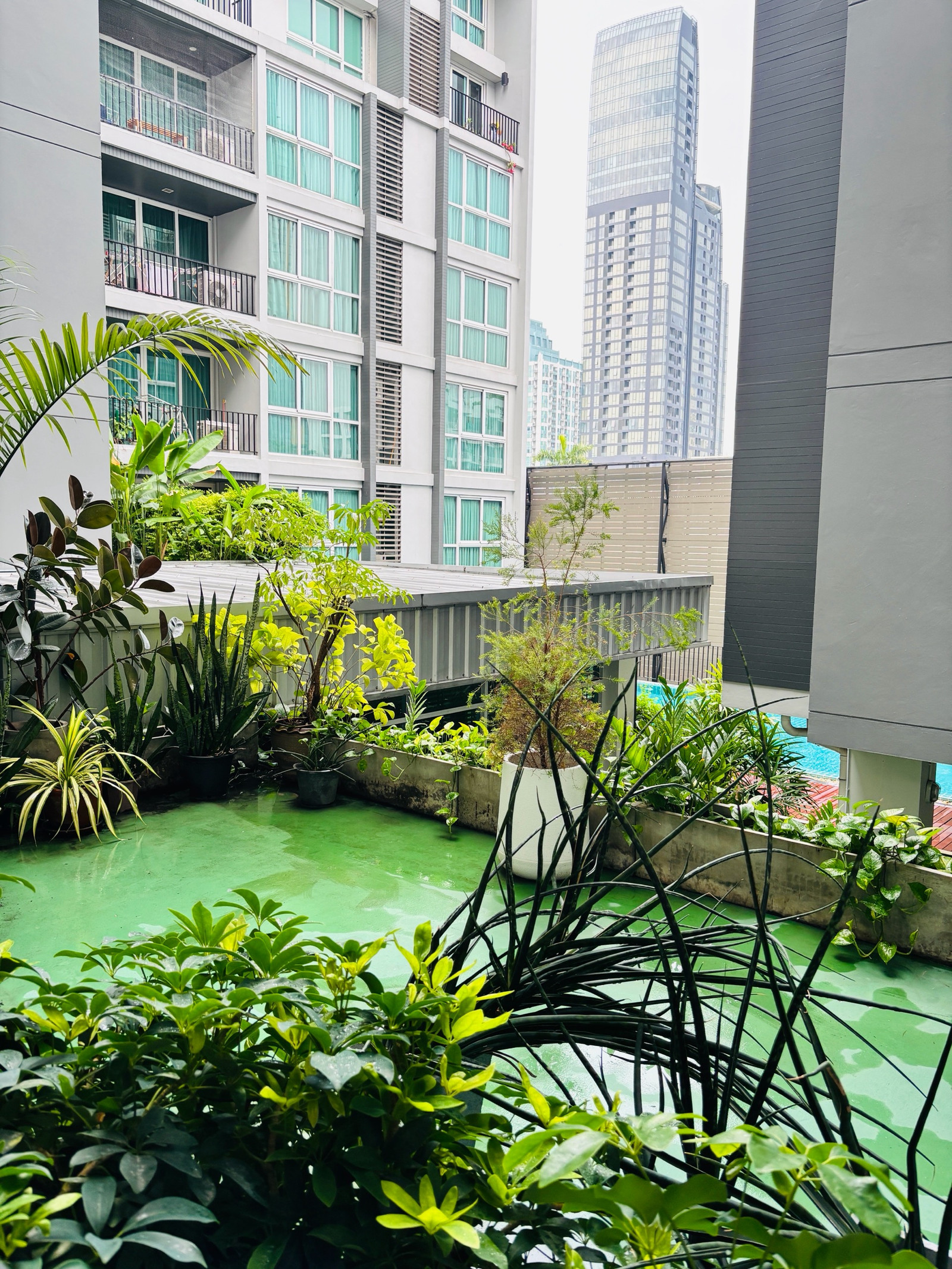  !! ปล่อยเช่าด่วน คอนโด DLV Thonglor 20 ใจกลางทองหล่อ : 25,000 บาท ต่อเดือน รวมส่วนกลางแล้ว  – รูปที่ 2
