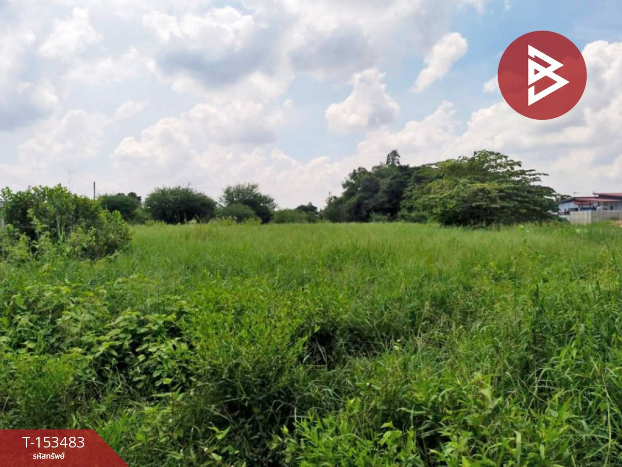 Land for sale, area 1 rai 3 ngan 87.2 sq m, Ban Pong, Ratchaburi.