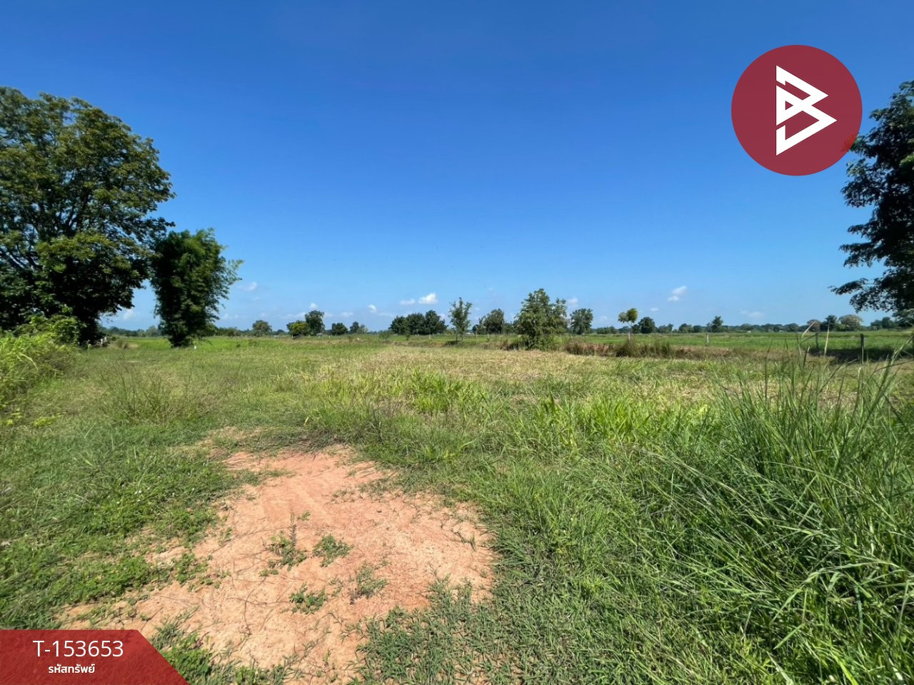 Land for sale, area 6 rai 3 ngan 77 sq m, Ban Phai, Khon Kaen – รูปที่ 4