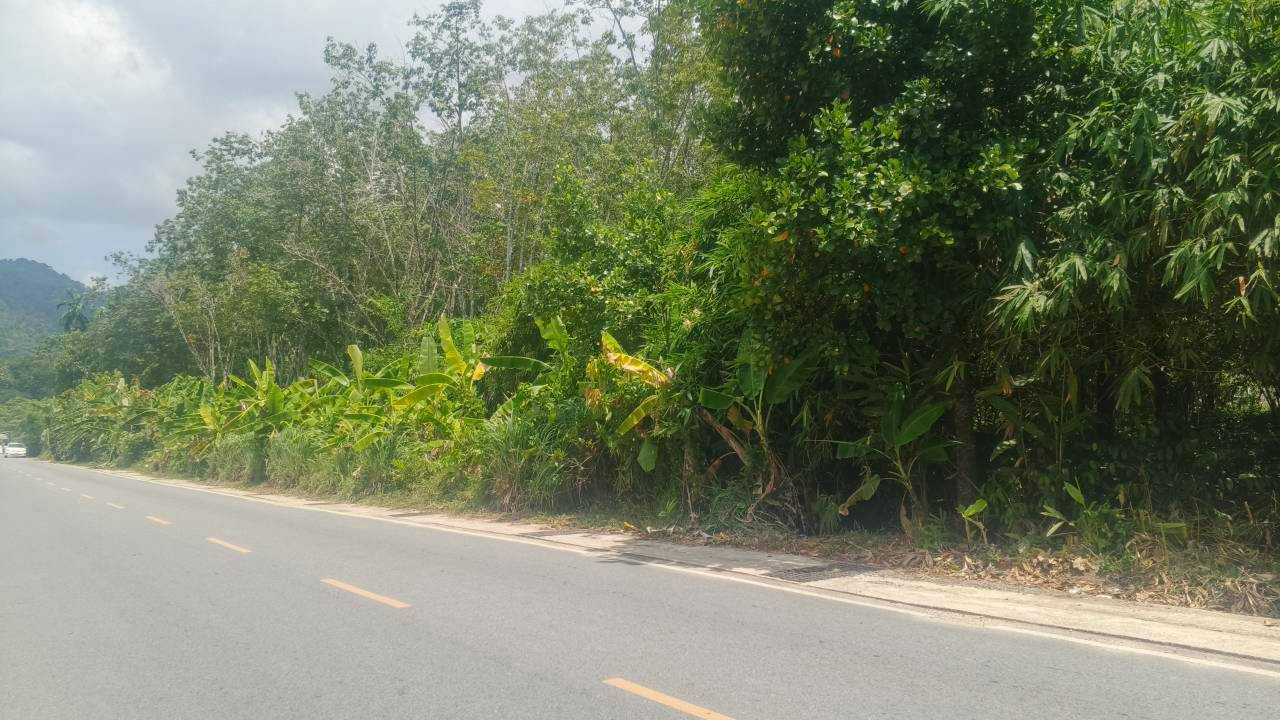 🔥 Urgent! Beautiful land for sale next to the road Prime location in Phuket city 🔥✨ – รูปที่ 2