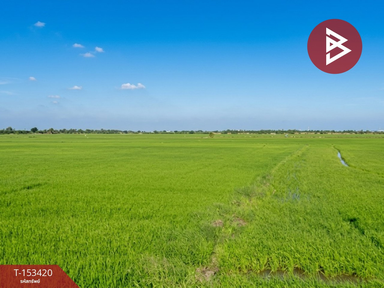 Land for sale, purple area, area 6 rai 1 ngan, Bang Bo, Samut Prakan.