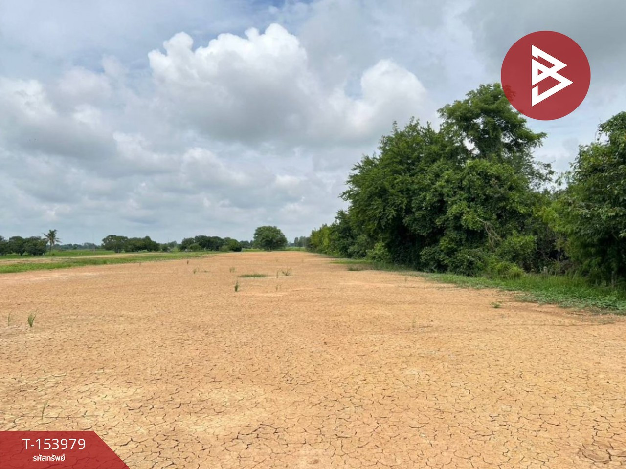 Land for sale, area 3 rai 2 ngan 96.4 sq m, Phlai Chumphon, Phitsanulok. – รูปที่ 3
