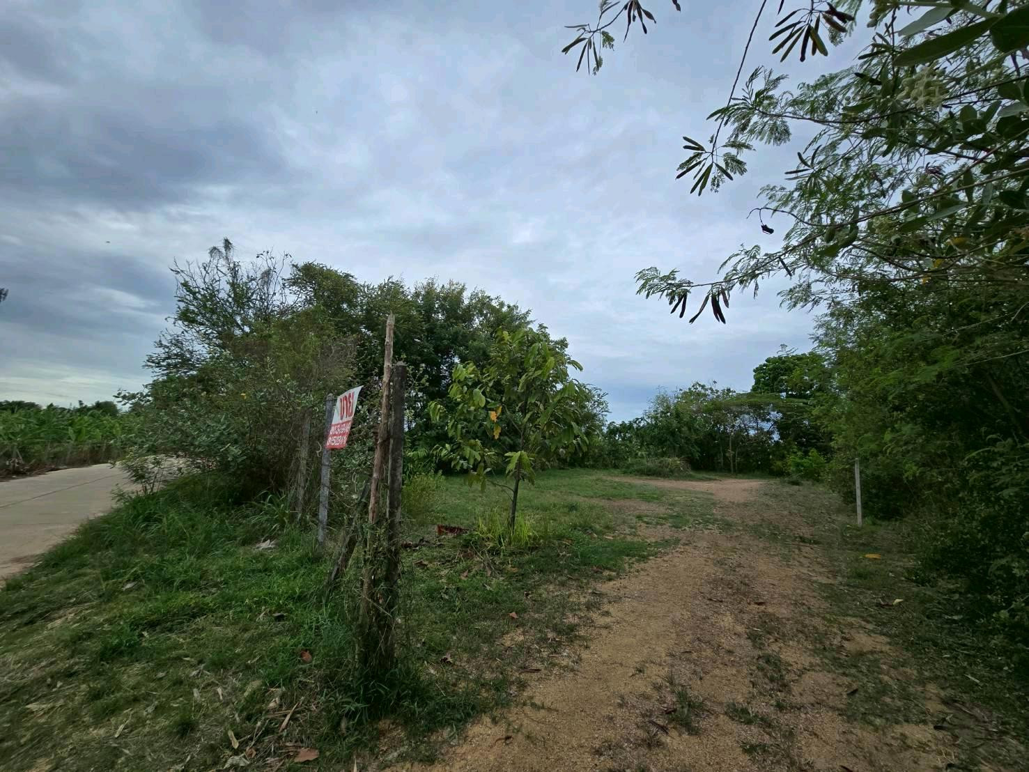 ที่ดินวิวภูเขาปราณบุรี