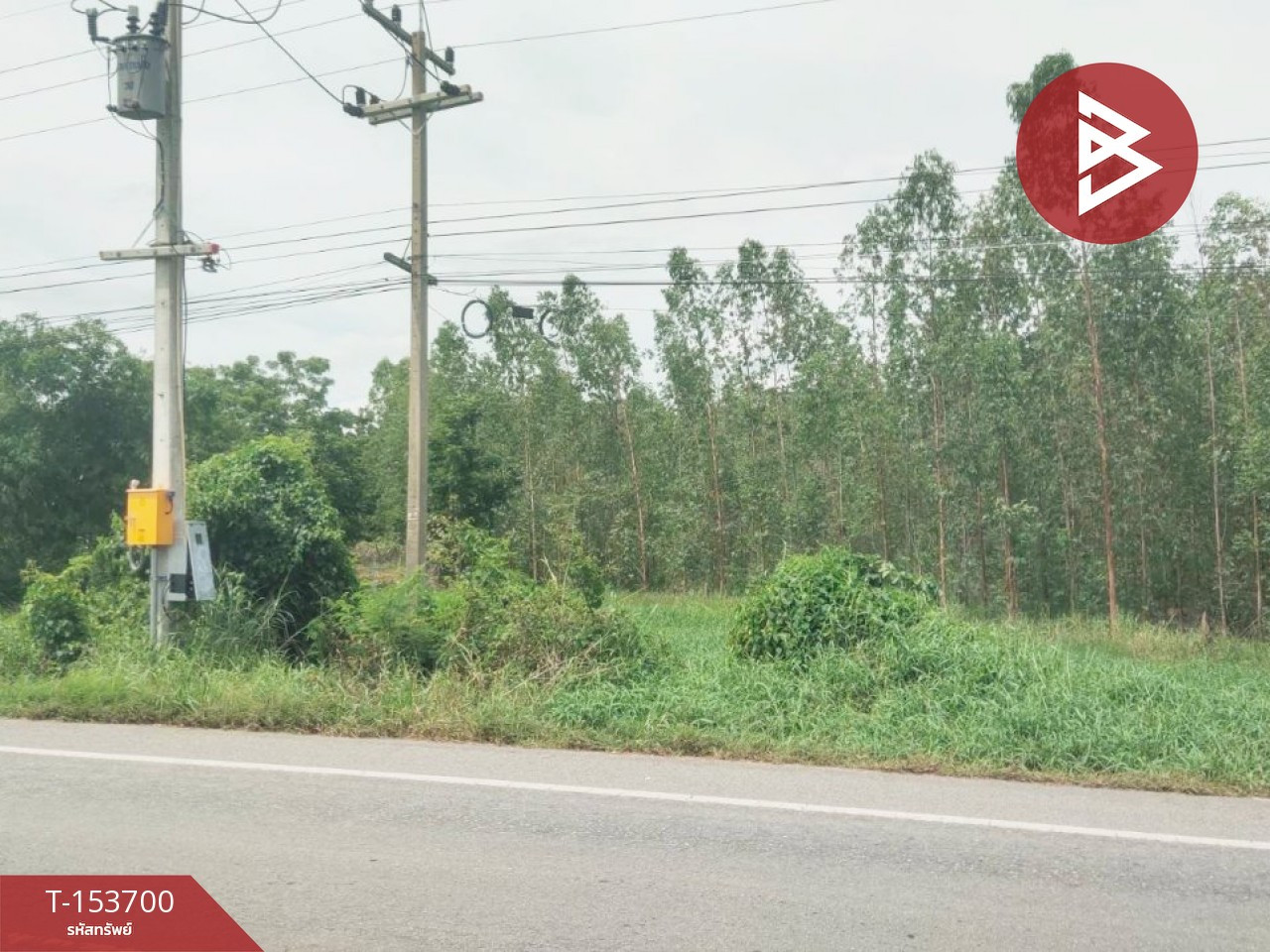 ขายที่ดิน เนื้อที่ 9 ไร่ 1 ตร.วา ลาดยาว นครสวรรค์ – รูปที่ 4